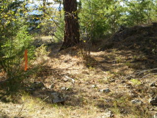 A flag marking the trail, Mt Keogan 2011-10.